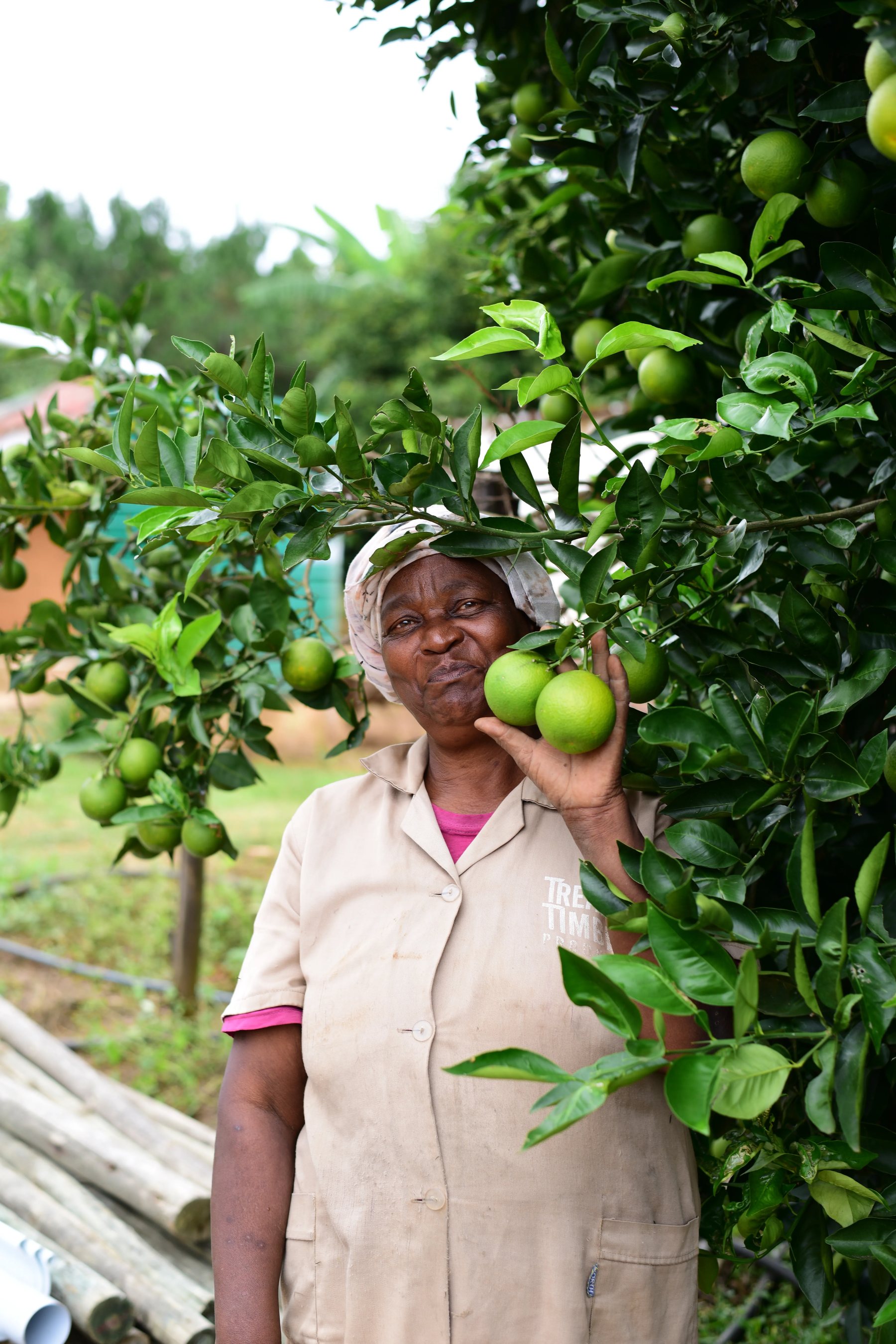 AFRA research